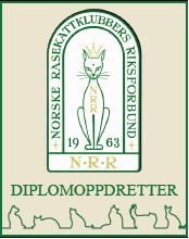 NRR Diplomering